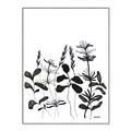 Picture of Silhouette Leaves I  _GroupedProduct_Rectangle_Portrait_Canvas_Framed_