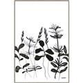 Picture of Silhouette Leaves I  _GroupedProduct_Rectangle_Portrait_Canvas_Framed_