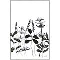 Picture of Silhouette Leaves I  _GroupedProduct_Rectangle_Portrait_Canvas_Framed_