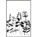 Picture of Silhouette Leaves I  _GroupedProduct_Rectangle_Portrait_Canvas_Framed_