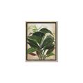 Picture of Tropical Greens _GroupedProduct_Rectangle_Portrait_Canvas_Framed_