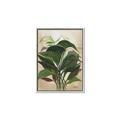 Picture of Tropical Greens _GroupedProduct_Rectangle_Portrait_Canvas_Framed_