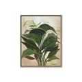 Picture of Tropical Greens _GroupedProduct_Rectangle_Portrait_Canvas_Framed_