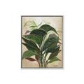 Picture of Tropical Greens _GroupedProduct_Rectangle_Portrait_Canvas_Framed_