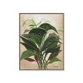 Picture of Tropical Greens _GroupedProduct_Rectangle_Portrait_Canvas_Framed_