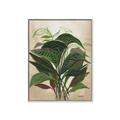 Picture of Tropical Greens _GroupedProduct_Rectangle_Portrait_Canvas_Framed_