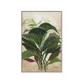Picture of Tropical Greens _GroupedProduct_Rectangle_Portrait_Canvas_Framed_