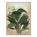 Picture of Tropical Greens _GroupedProduct_Rectangle_Portrait_Canvas_Framed_