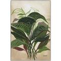 Picture of Tropical Greens _GroupedProduct_Rectangle_Portrait_Canvas_Framed_