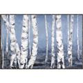 Picture of Plain White Birches _GroupedProduct_Rectangle_Landscape_Canvas_Framed_