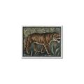 Picture of Baby Tiger _GroupedProduct_Rectangle_Landscape_Canvas_Framed_