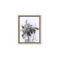 Picture of Black Daisy I _GroupedProduct_Rectangle_Portrait_Canvas_Framed_