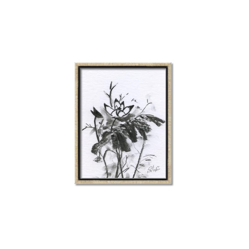 Picture of Black Daisy I _GroupedProduct_Rectangle_Portrait_Canvas_Framed_
