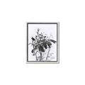 Picture of Black Daisy I _GroupedProduct_Rectangle_Portrait_Canvas_Framed_