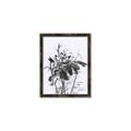 Picture of Black Daisy I _GroupedProduct_Rectangle_Portrait_Canvas_Framed_