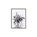 Picture of Black Daisy I _GroupedProduct_Rectangle_Portrait_Canvas_Framed_