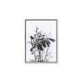 Picture of Black Daisy I _GroupedProduct_Rectangle_Portrait_Canvas_Framed_