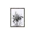Picture of Black Daisy I _GroupedProduct_Rectangle_Portrait_Canvas_Framed_