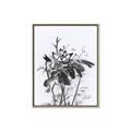 Picture of Black Daisy I _GroupedProduct_Rectangle_Portrait_Canvas_Framed_