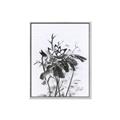 Picture of Black Daisy I _GroupedProduct_Rectangle_Portrait_Canvas_Framed_
