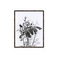Picture of Black Daisy I _GroupedProduct_Rectangle_Portrait_Canvas_Framed_