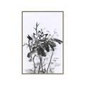 Picture of Black Daisy I _GroupedProduct_Rectangle_Portrait_Canvas_Framed_