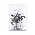 Picture of Black Daisy I _GroupedProduct_Rectangle_Portrait_Canvas_Framed_