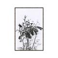 Picture of Black Daisy I _GroupedProduct_Rectangle_Portrait_Canvas_Framed_