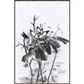 Picture of Black Daisy I _GroupedProduct_Rectangle_Portrait_Canvas_Framed_