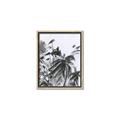 Picture of Black Daisy II _GroupedProduct_Rectangle_Portrait_Canvas_Framed_
