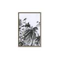 Picture of Black Daisy II _GroupedProduct_Rectangle_Portrait_Canvas_Framed_
