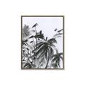 Picture of Black Daisy II _GroupedProduct_Rectangle_Portrait_Canvas_Framed_