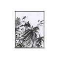 Picture of Black Daisy II _GroupedProduct_Rectangle_Portrait_Canvas_Framed_