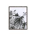 Picture of Black Daisy II _GroupedProduct_Rectangle_Portrait_Canvas_Framed_