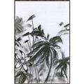 Picture of Black Daisy II _GroupedProduct_Rectangle_Portrait_Canvas_Framed_