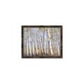 Picture of Birch Tree (yellow leaf) _GroupedProduct_Rectangle_Landscape_Canvas_Framed_