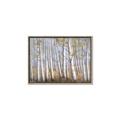 Picture of Birch Tree (yellow leaf) _GroupedProduct_Rectangle_Landscape_Canvas_Framed_