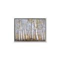Picture of Birch Tree (yellow leaf) _GroupedProduct_Rectangle_Landscape_Canvas_Framed_