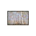 Picture of Birch Tree (yellow leaf) _GroupedProduct_Rectangle_Landscape_Canvas_Framed_