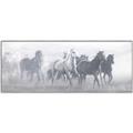 Picture of Running Horse I  _GroupedProduct_Panel_Landscape_Canvas_Framed_