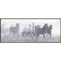 Picture of Running Horse I  _GroupedProduct_Panel_Landscape_Canvas_Framed_