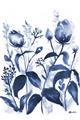 Picture of Blue Flower III _GroupedProduct_Rectangle_Portrait_Unframed_Print_Only_