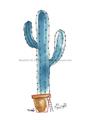 Picture of Cactus _GroupedProduct_Rectangle_Portrait_Unframed_Print_Only_