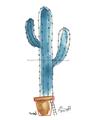 Picture of Cactus _GroupedProduct_Rectangle_Portrait_Unframed_Print_Only_