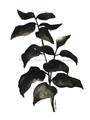 Picture of Black Leaves II _GroupedProduct_Rectangle_Portrait_Unframed_Print_Only_
