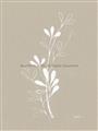Picture of Neutral Plant V _GroupedProduct_Rectangle_Portrait_Unframed_Print_Only_