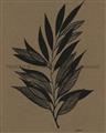Picture of Silhouette Leaves _GroupedProduct_Rectangle_Portrait_Unframed_Print_Only_