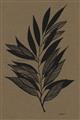 Picture of Silhouette Leaves _GroupedProduct_Rectangle_Portrait_Unframed_Print_Only_