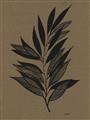 Picture of Silhouette Leaves _GroupedProduct_Rectangle_Portrait_Unframed_Print_Only_