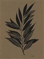 Picture of Silhouette Leaves _GroupedProduct_Rectangle_Portrait_Unframed_Print_Only_